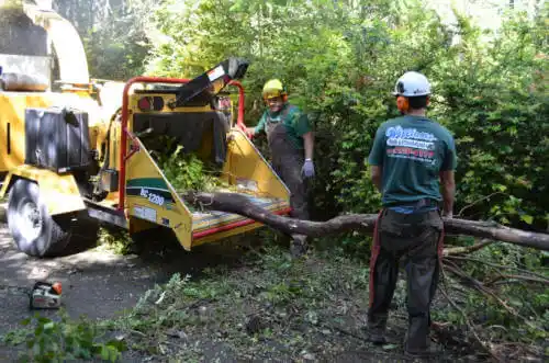 tree services Greencastle